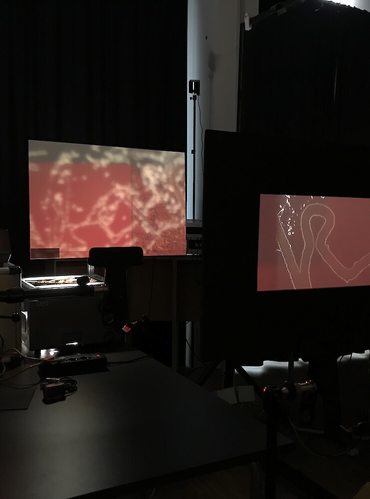 Grundlagen Code|Klang Licht Raum Zeit